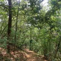 Nanjing, the Zhongshan Mountain National Park is a beautiful national park