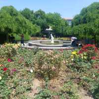 Little parks in Shanghai, little water worlds in the heart of the city