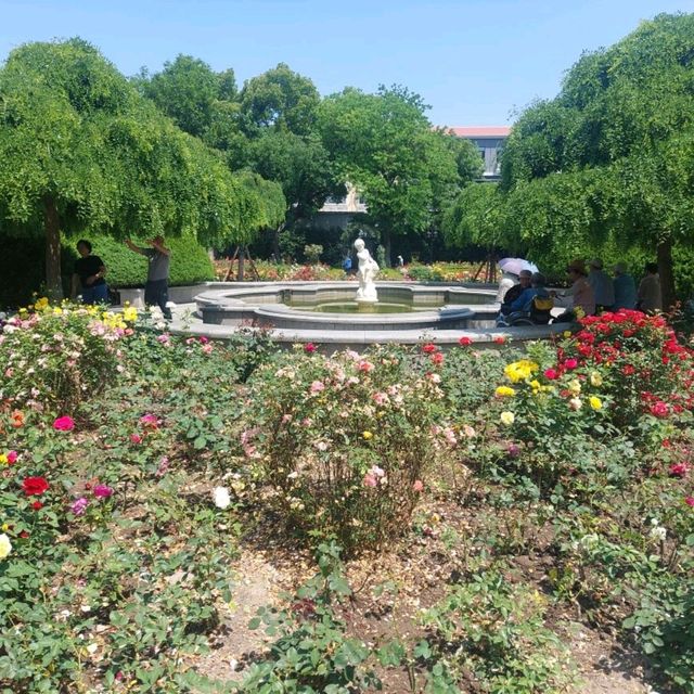 Little parks in Shanghai, little water worlds in the heart of the city