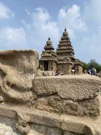 🌟 Review: Kapaleeshwarar Temple, Chennai