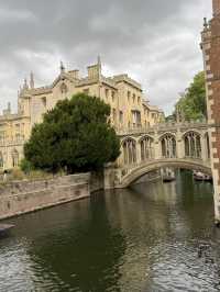 🏛️ Cambridge: A Day Among Dreaming Spires and Timeless Traditions