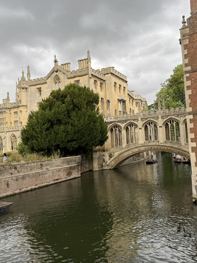🏛️ Cambridge: A Day Among Dreaming Spires and Timeless Traditions