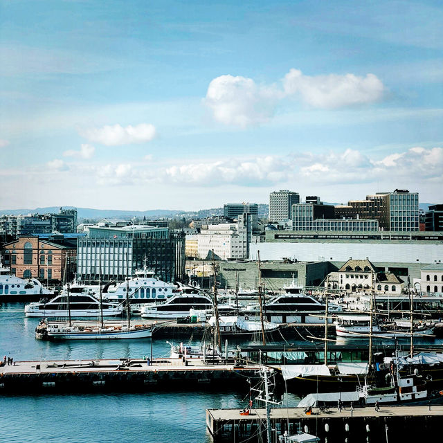 Discover Oslo on a Budget: Nature, Culture & Local Life