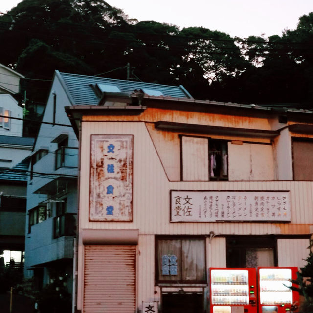 Tokyo to Kamakura: A Day Trip to Japan’s Coastal Charm
