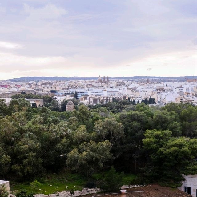 Maltese Moments – Chasing the Island’s Best Views 🌅🇲🇹