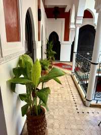 Nights of Lantern Light