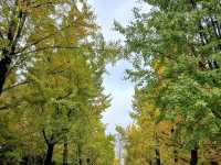 貴陽秋天小旅行