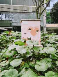 В Чэнду на 1 день