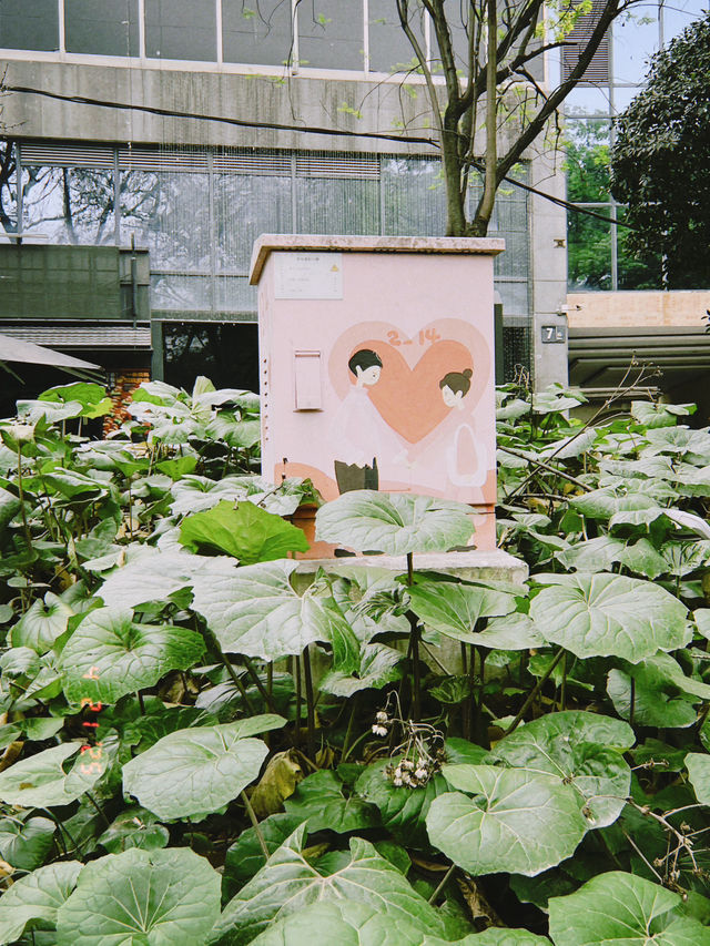 В Чэнду на 1 день