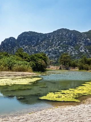 🌿 Nature Embracing History – The Charm of Olympos 🏞️🍂