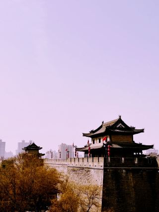 ความงดงามแห่งฤดูใบไม้ผลิ: การฟื้นฟูอย่างยั่งยืนในซีอาน 🇨🇳