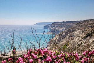The Birthplace of Aphrodite