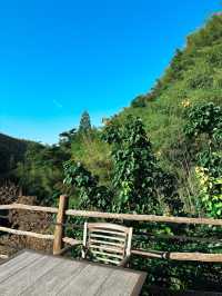 Moganshan, Zhejiang🌿🏔️🎋