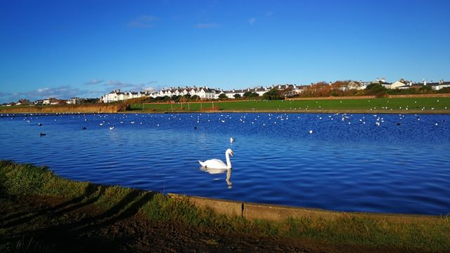 England's stunning beach, Crosby Beach in late autumn.