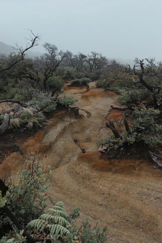 The wonderful scenery inside the volcano crater.