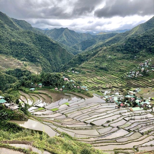 World Famous Rice Terraces!🇵🇭