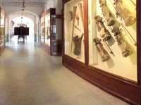 Rajasthan's History and Art 🇮🇳