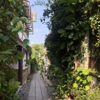 A rare glimpse of the past in Shenzhen  