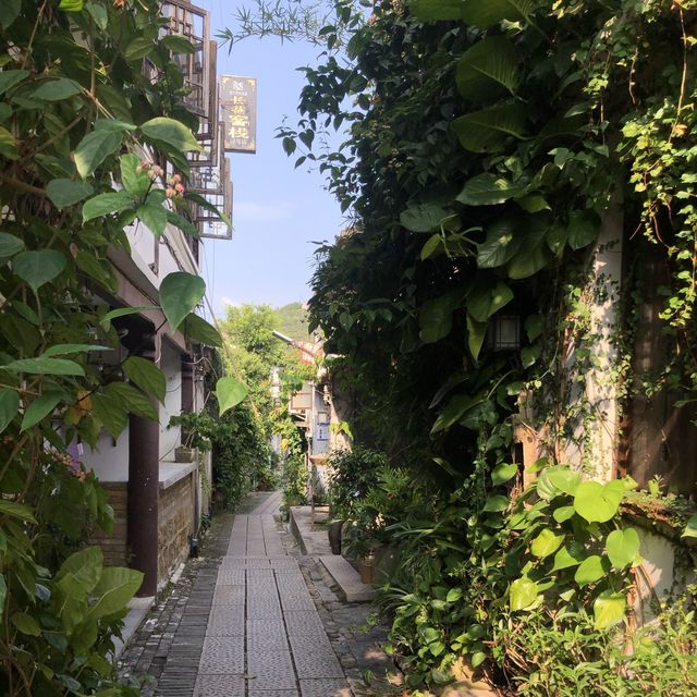 A rare glimpse of the past in Shenzhen  