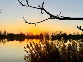 วอนิวหู่ที่เวลาพระอาทิตย์ตกดิน | บรรยากาศชนบทที่เทียนจินนิ่งเฮอ