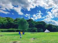 坐標哈爾濱｜長壽國家森林公園