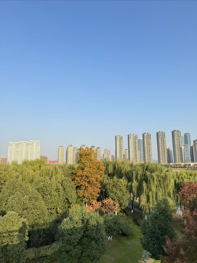 打卡南京青奥公園！散步吸氧好去處！