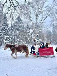 長白山雪嶺闖入童話世界看麋鹿live圖