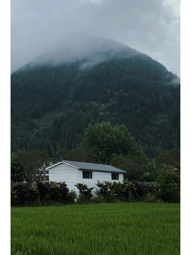 來感受一下貴定音寨的寧靜