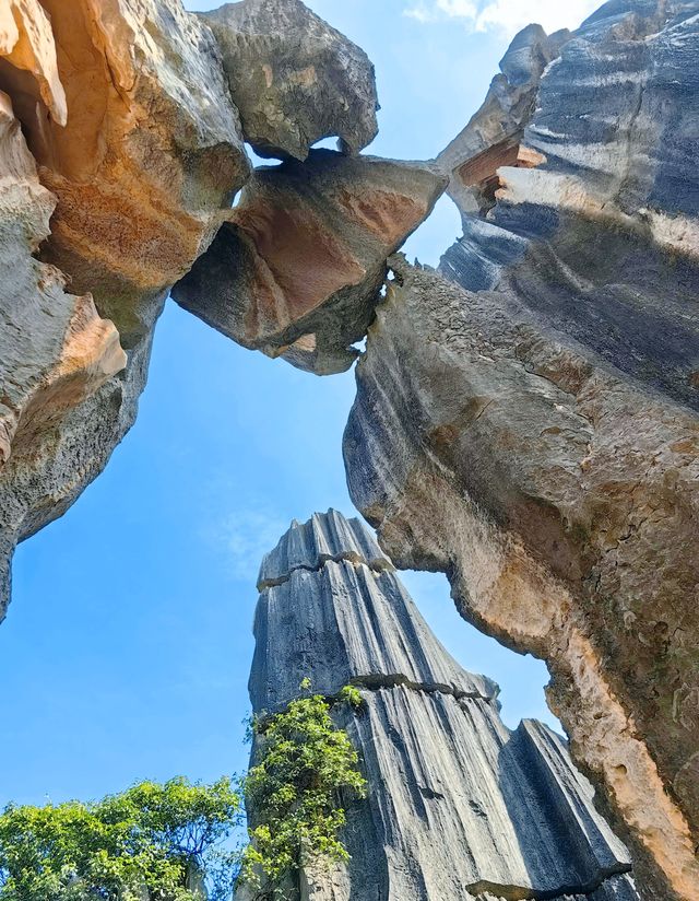 昆明石林探索喀斯特奇觀，聆聽石頭的故事