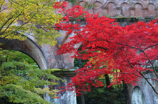 紅葉季必湊熱鬧的清水寺和南禪寺