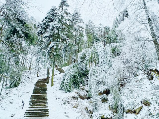 九華山下雪了