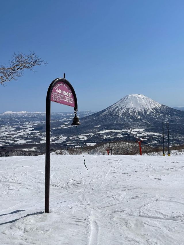 粉雪天堂比羅夫滑雪場