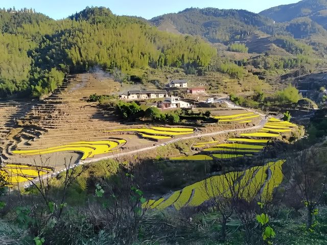 桃源梯田景區