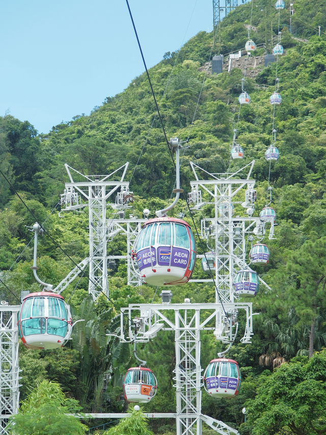 香港海洋公園親子遊種滿了小王子的玫瑰花