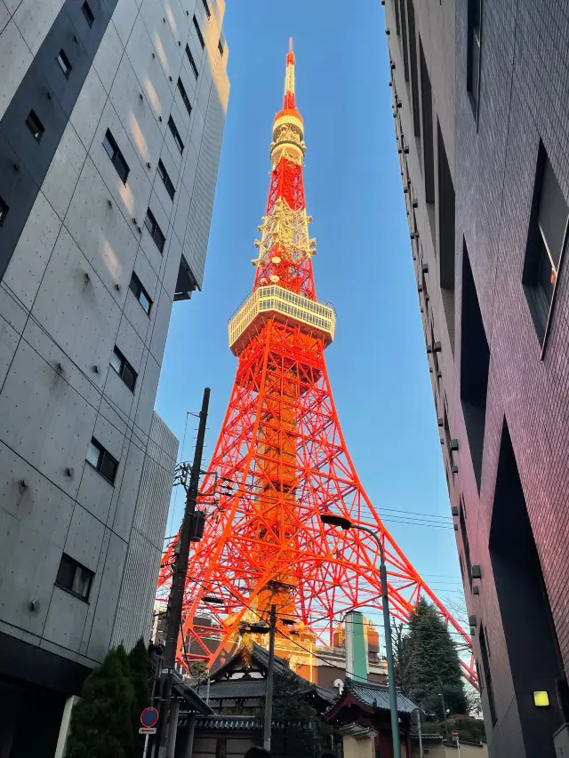 鮮有人知5小時·東京citywalk絕佳路線