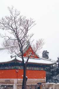 北京 |一人承包絕美雪景不用去擠故宮了！