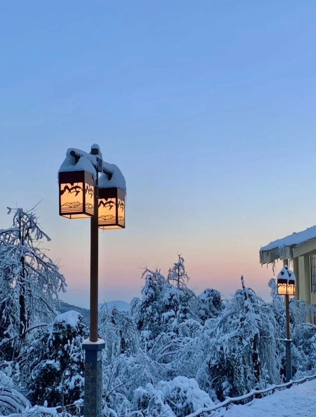 沒下雪之前，都是無趣的冬