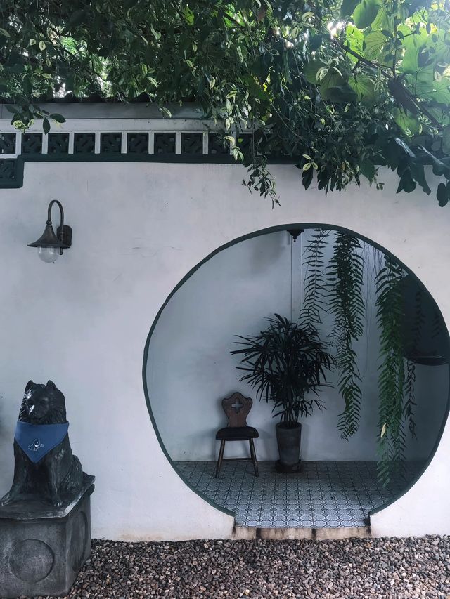 帥哥老闆plus兩隻薩摩耶加持，想生意不好也難啊！