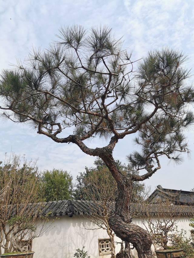 中山詹園 | 蘇式園林景致 | 清幽雅致