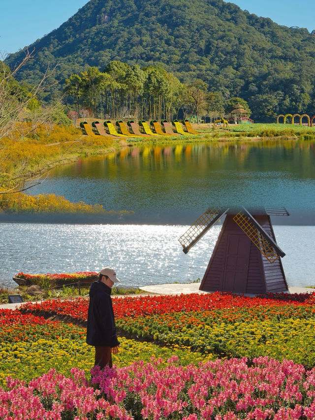 在石門國家森林公園拍到了我的人生照片