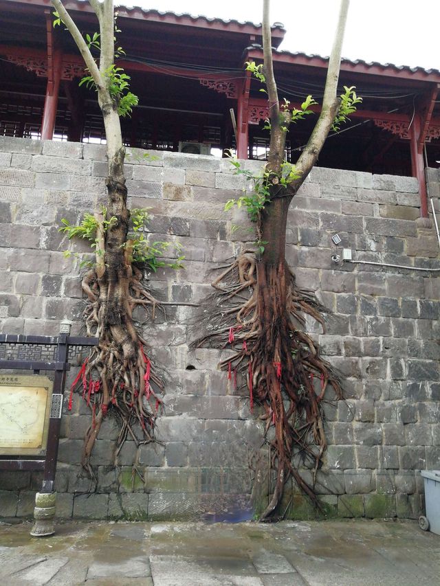 重慶涞灘古鎮丨甕城，文昌宮，二佛寺摩崖石刻