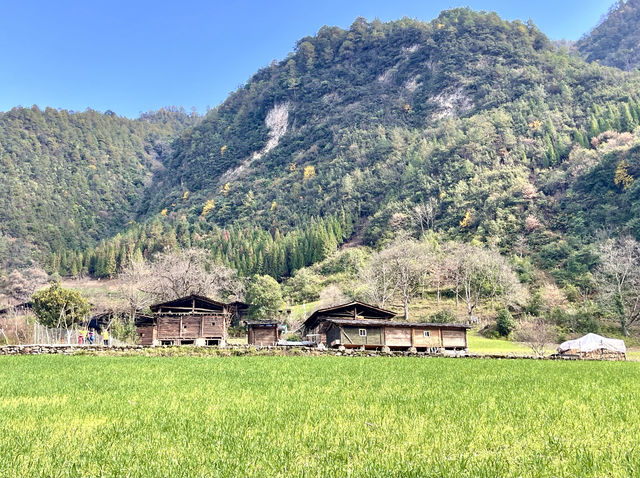 丙中洛霧裡村