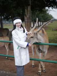 春節遊玩好去處！！和野生動物近距離互動