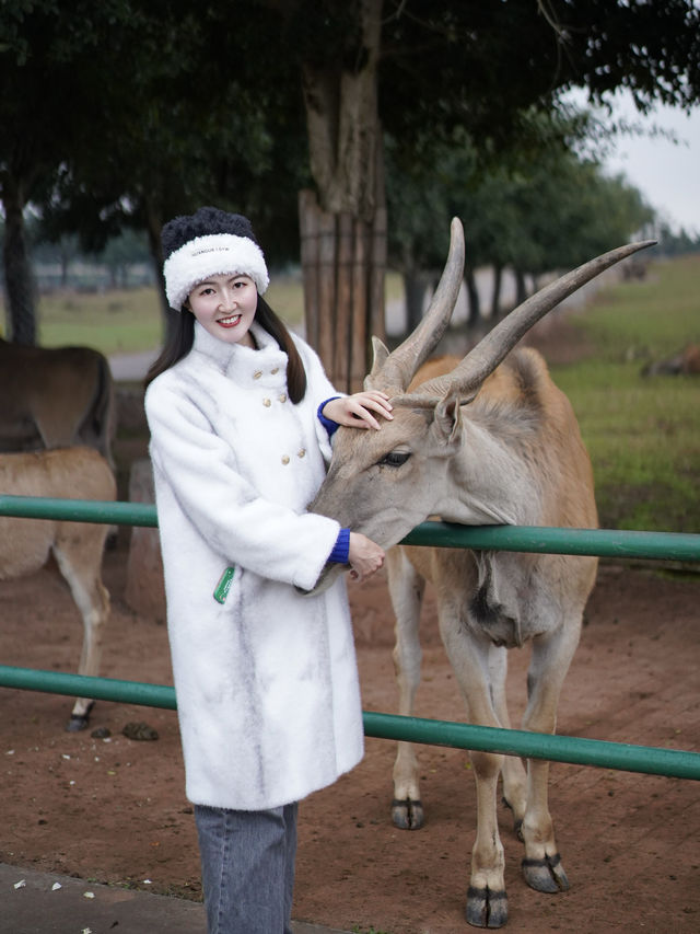 春節遊玩好去處！！和野生動物近距離互動