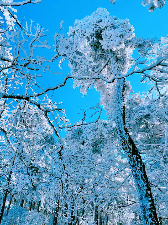 你們都去浙西天池吧｜讓我獨享這百丈岭的雪徒步—百丈岭追雪之旅