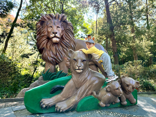 遛娃日記之五刷上海動物園