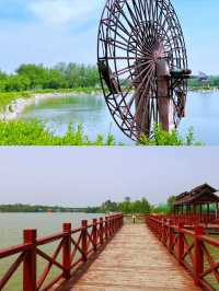 夏津黃河故道森林公園