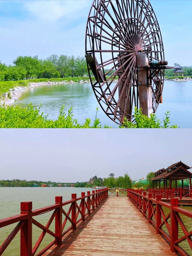 夏津黃河故道森林公園