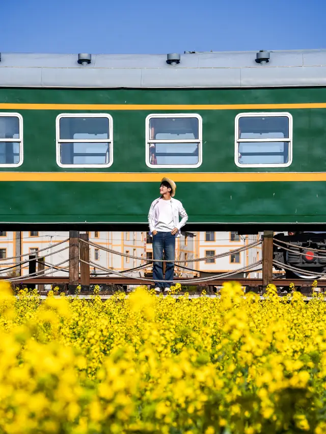 คุนหมิงมีดอกคะน้าที่กำลังบาน นั่งบนรถไฟแล้วเข้าไปในฤดูใบไม้ผลิ