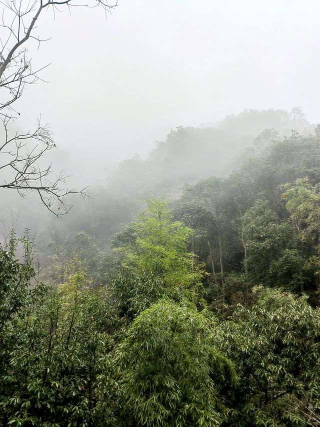 雲霧繚繞北雁蕩   仙俠意趣撲面來